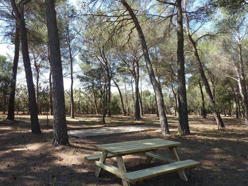 Bed and Breakfast Les Mazets Du Luberon Puget Екстер'єр фото