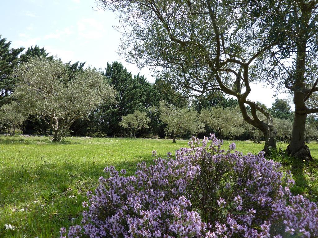 Bed and Breakfast Les Mazets Du Luberon Puget Екстер'єр фото